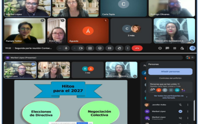 Ciclo de reuniones online “Áreas Operativas”
